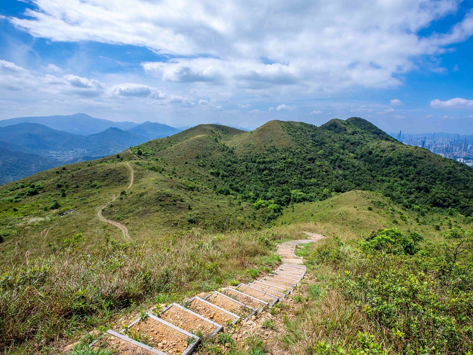 红花岭郊野公园